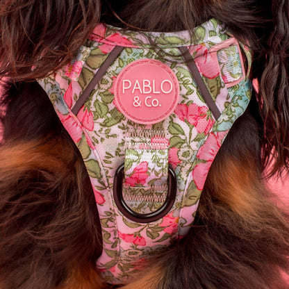 Flora & Fern: No Pull Dog Adventure Harness