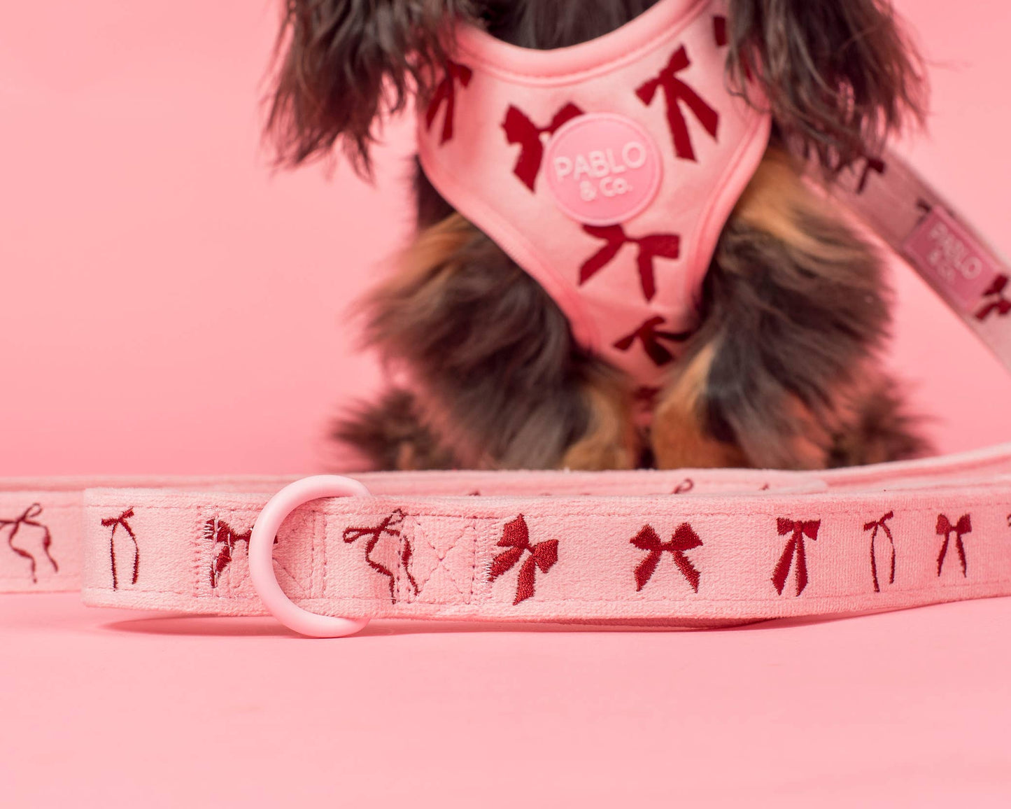 Velvet Blush Bows: Dog Leash
