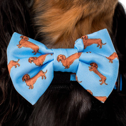 Dachshund: Dog Bow Tie