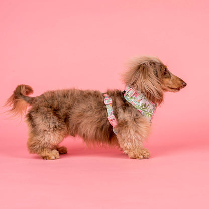 Flora & Fern: Adjustable Dog Harness
