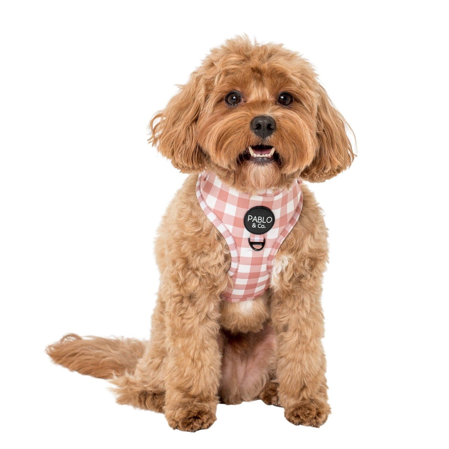 Chocolate Gingham: ADJUSTABLE DOG HARNESS
