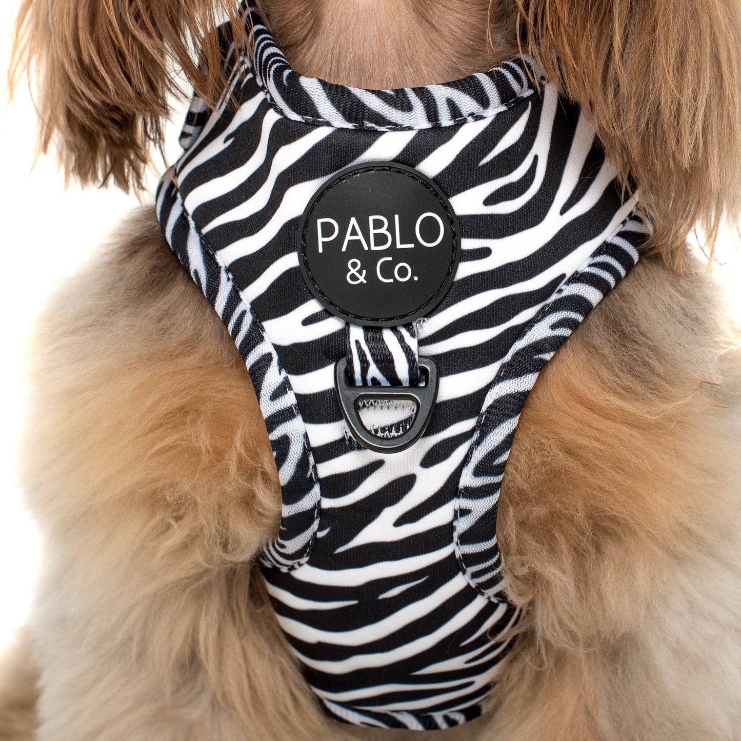 Black & White Zebra: ADJUSTABLE DOG HARNESS