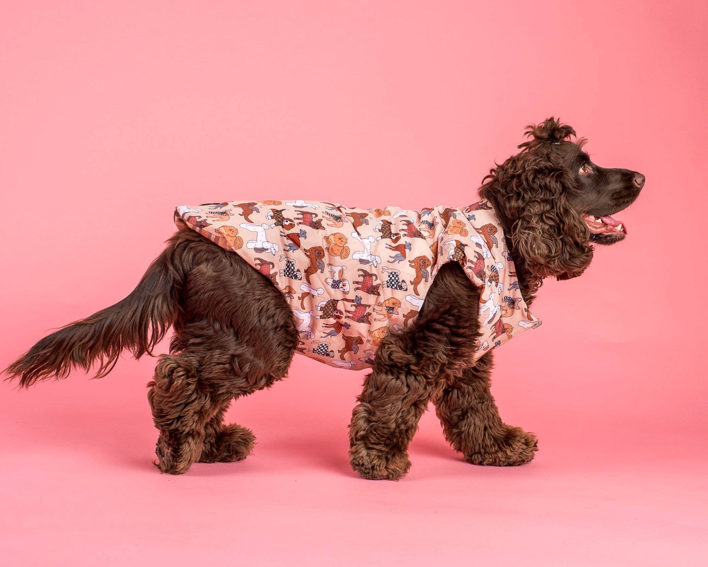 Winter Pooches / Kensington: Puffer Vest