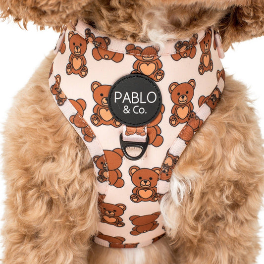 Teddy Bears Picnic: ADJUSTABLE DOG HARNESS