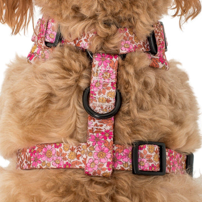 Pink Posies: ADJUSTABLE DOG HARNESS