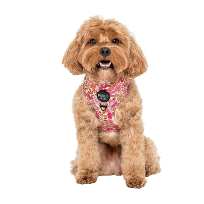Pink Posies: ADJUSTABLE DOG HARNESS