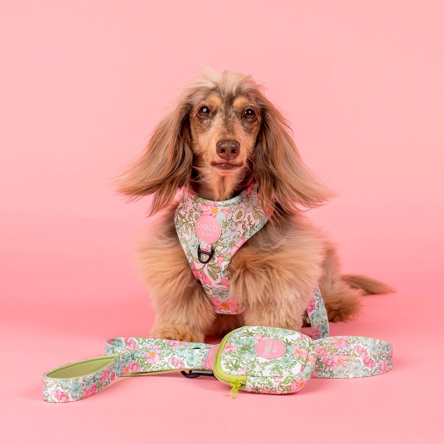 Flora & Fern: Dog Treat Pouch