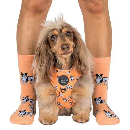 Dog Breed Socks