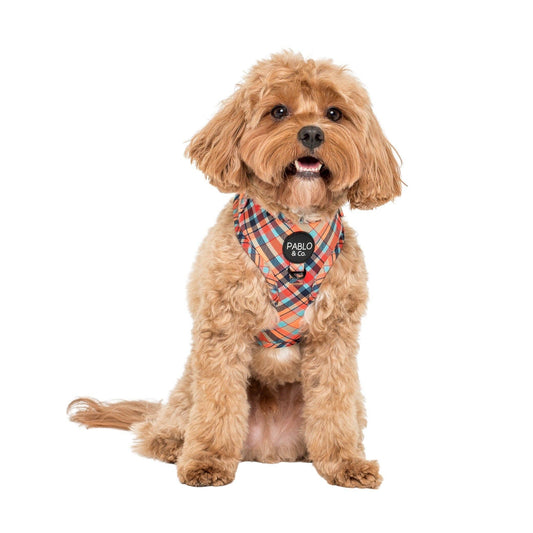 Tartan: ADJUSTABLE DOG HARNESS