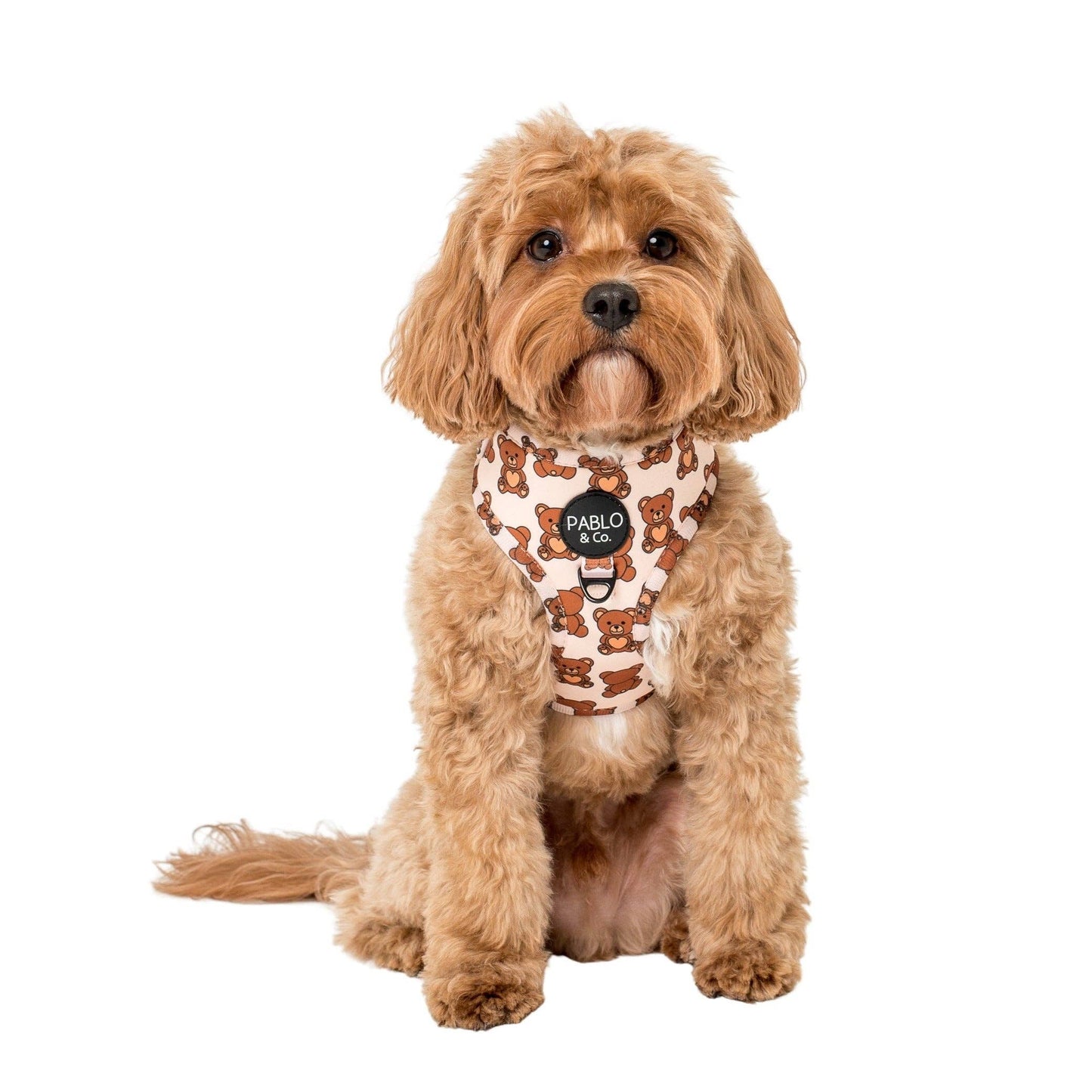 Teddy Bears Picnic: ADJUSTABLE DOG HARNESS
